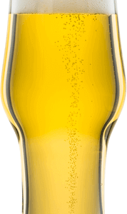 ZWIESEL Bjórglös IPA - 36,5 cl