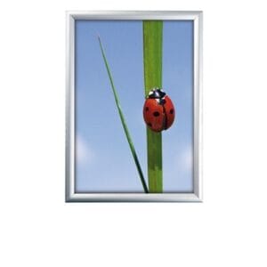 Danish Smellurammi 70x100 25mm