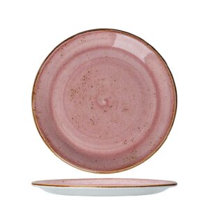 Steelite CRAFT diskur 25 cm - Raspberry