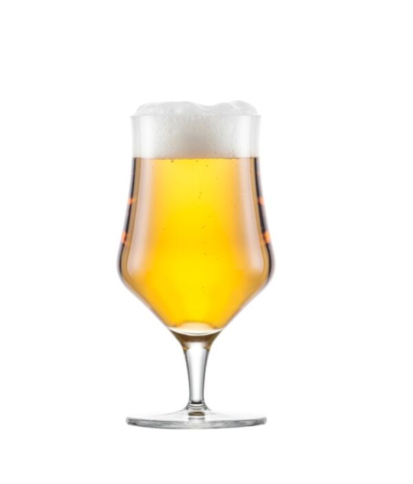 ZWIESEL Bjórglös Craft - 450 ml - Image 2