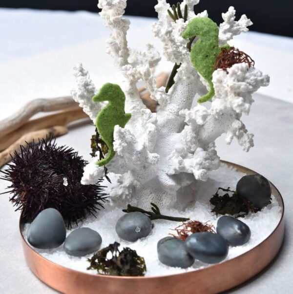 Pavoni Siliconform Gourmand  Stone - 28 hólf