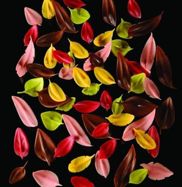 Súkkulaði skreytingaspaði - Large leaf - Image 3