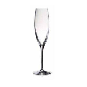 Gben glas Penelope kampavínsglas 17 cl